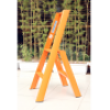 Thang nhôm 2 bậc Advindeq AV302